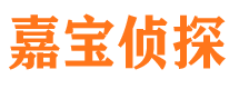 文圣市私家侦探公司